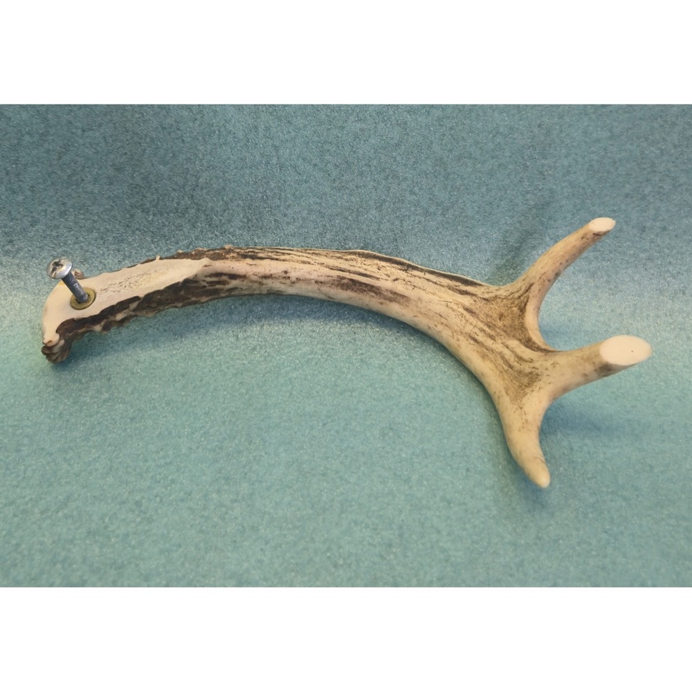 Genuine Deer Antler Cabinet Handle Drawer Pull Rustic Lodge Cabin Decor 8in